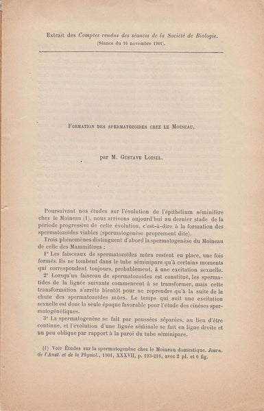 Formation des Spermatozoides chez le Moineau