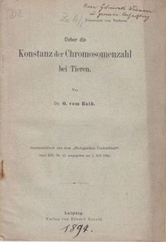 Ueber die Konstanz der Chromosomenzahl