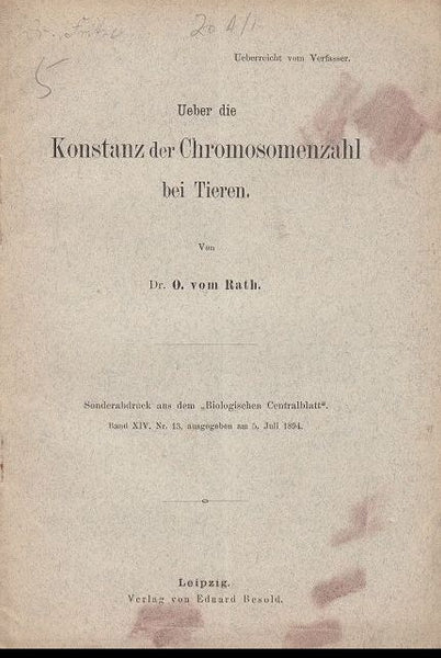 Ueber die Konstanz der Chromosomenzahl bei Tieren