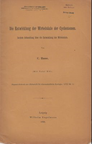Die Entwicklung der Wirbelsaule der Cyclostomen