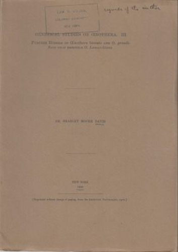 Genetical Studies on Oenothera. III. Further Hybrids of Oenothera biennis and O. grandiflora that Resemble O. Lamarckiana