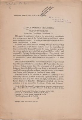 A Much Desired Oenothera