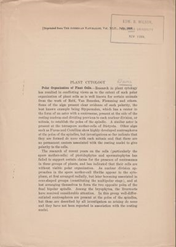 Plant Cytology: Polar Organization of Plant Cells