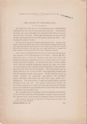 The Leaves of Podophyllum