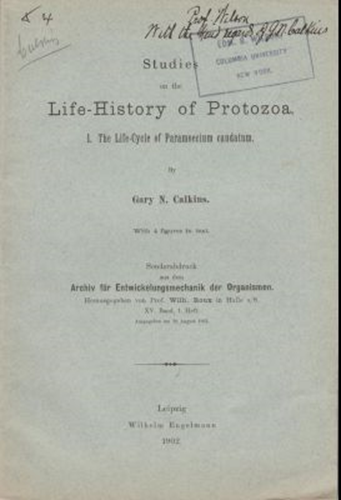 Studies on the Life-History of Protozoa. I. The Life-Cycle of Paramoecium Caudatum