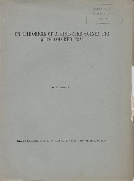 On the Origin of a Pink-Eyed Guinea Pig with Colored Coat