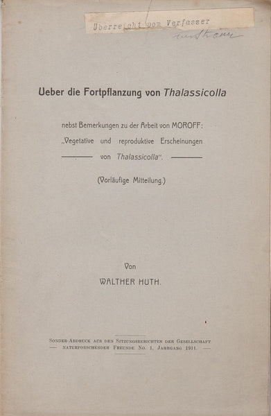 Ueber die Fortpflanzung von Thalassicolla