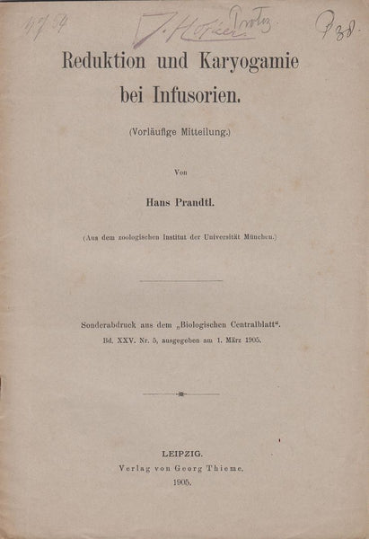 Reduktion und Karyogamie bei Infusorien