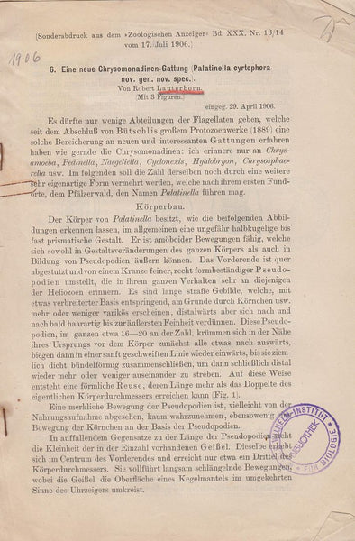 Eine neue Chrysomonadinen-Gattung (Palatinella cyrtophora nov. gen. nov. spec.)