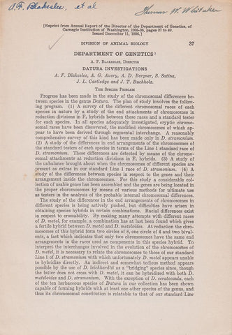 Datura Investigations