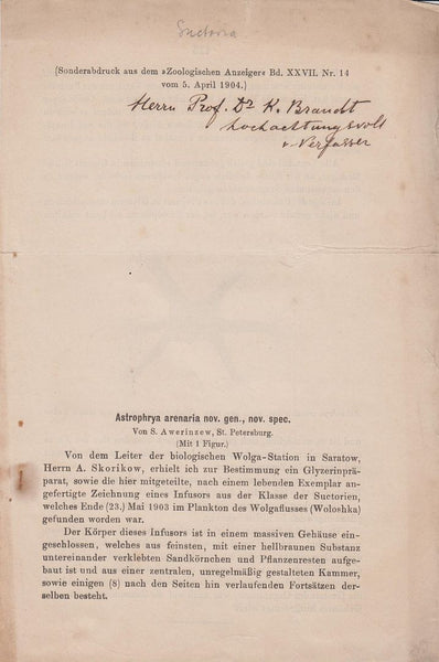 Astrophyra arenaria nov. gen., nov. spec.