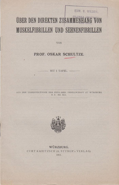 Uber den Direkten Zusammenhang von Muskelfibrillen und Sehnenfibrillen