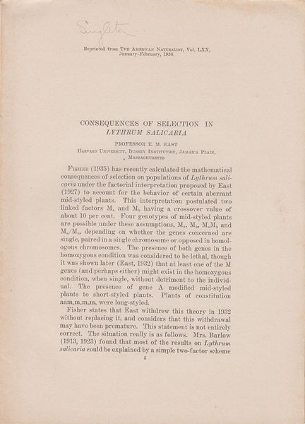 Consequences of Selection in Lythrum Salicaria
