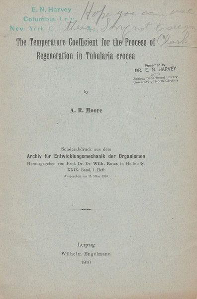 The Temperature Coefficient for the Process of Regeneration in Tubularia Crocea