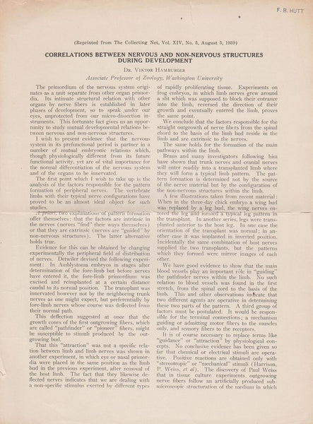 Correlations between Nervous and Non-Nervous Structures During Development
