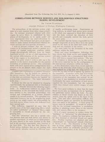 Correlations between Nervous and Non-Nervous Structures During Development