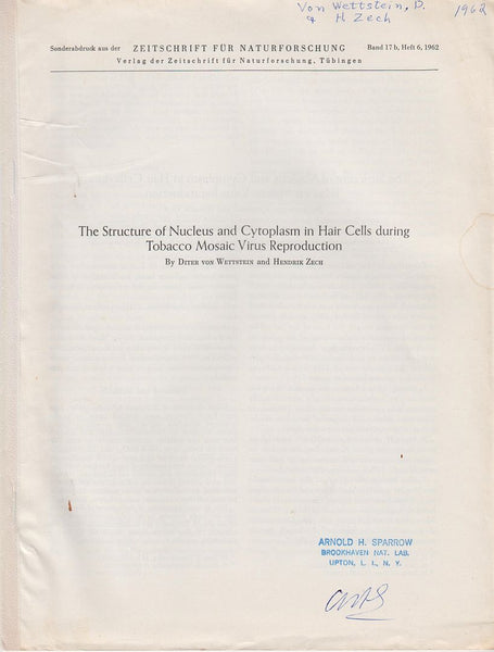 The Structure of Nucleus and Cytoplasm in Hair Cells during Tobacco Mosaic Virus Reproduction