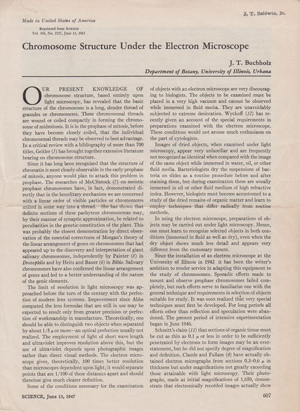 Chromosome Structure under the Electron Microscope