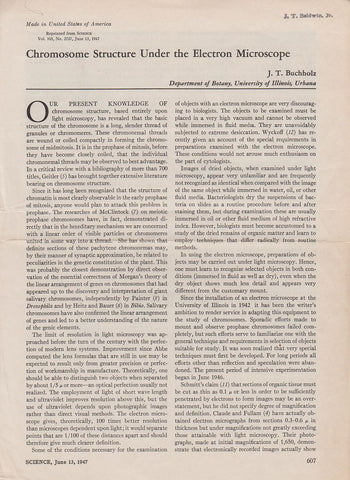 Chromosome Structure under the Electron Microscope