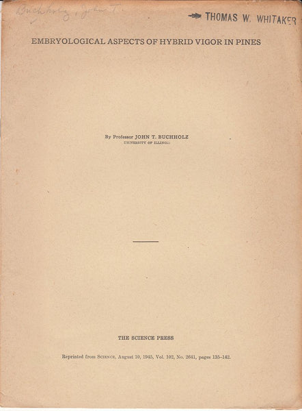 Embryological Aspects of Hybrid Vigor in Pines