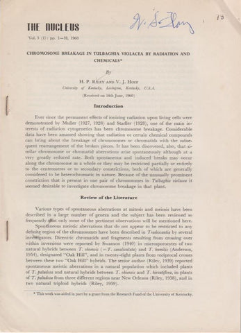 Chromosome Breakage in Tulbaghia Violacea by Radiation and Chemicals