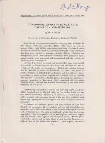 Chromosome Numbers in Gasteria, Astroloba and Hybrids
