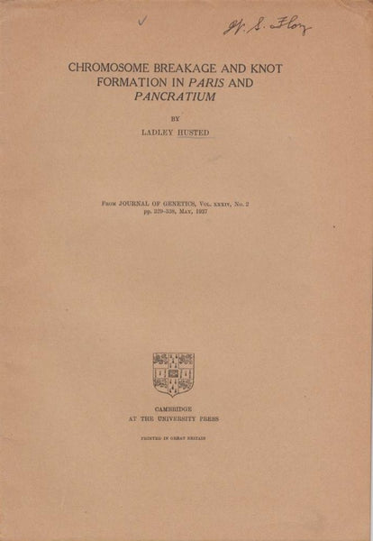 Chromosome Breakage and Knot Formation in Paris and Pancratium