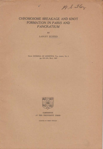 Chromosome Breakage and Knot Formation in Paris and Pancratium