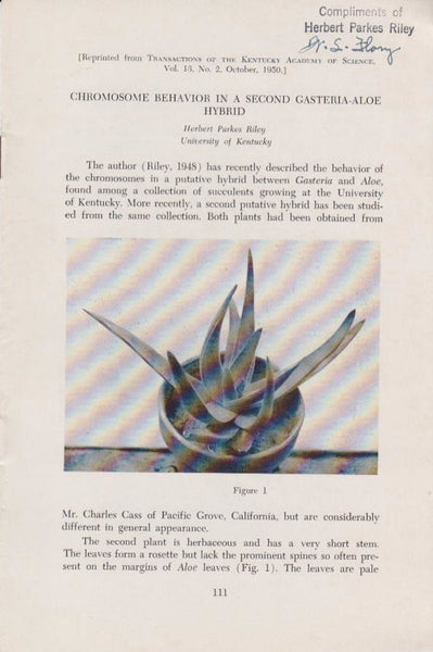 Chromosome Behavior in a Second Gasteria-Aloe Hybrid