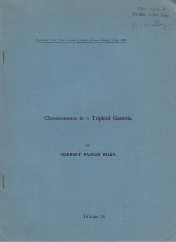 Chromosomes in a Triploid Gasteria