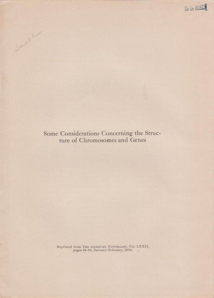 Some Considerations Concerning the Structure of Chromosomes and Genes