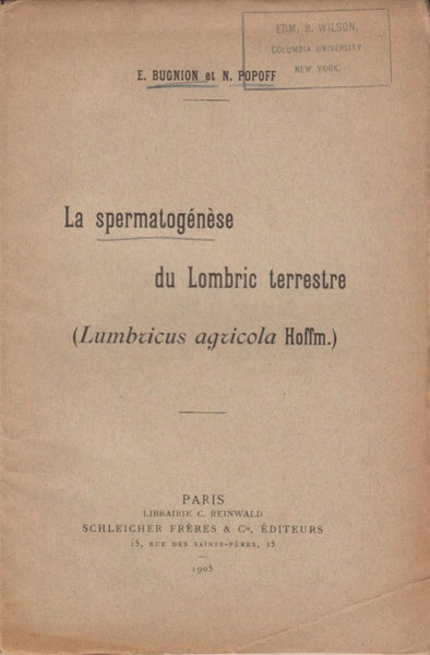 La Spermatogenese du Lombric terrestre (Lumbricus agricola Hoffm.)