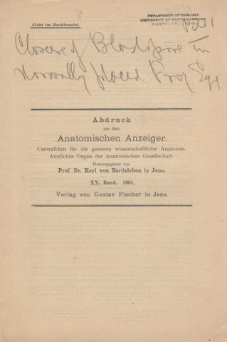 Closure of Blastopore in the Normally Placed Frog Egg