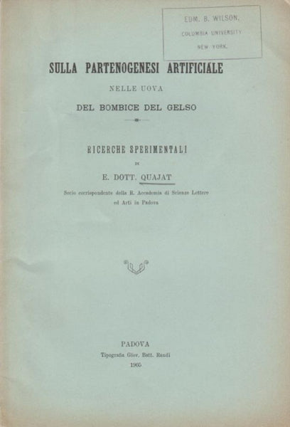 Ricerche Sperimentali
