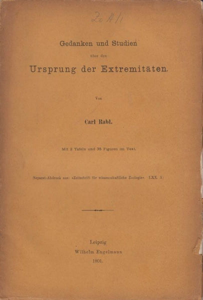 Gedanken und Studien uber den Ursprung der Extremitaten