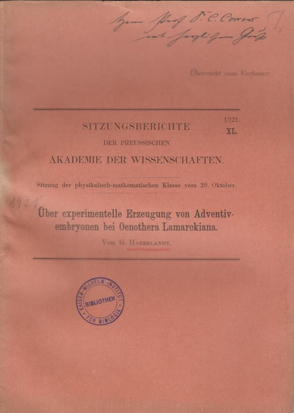 Uber Experimentelle Erzeugung von Adventivembryonen bei Oenothera Lamarckiana