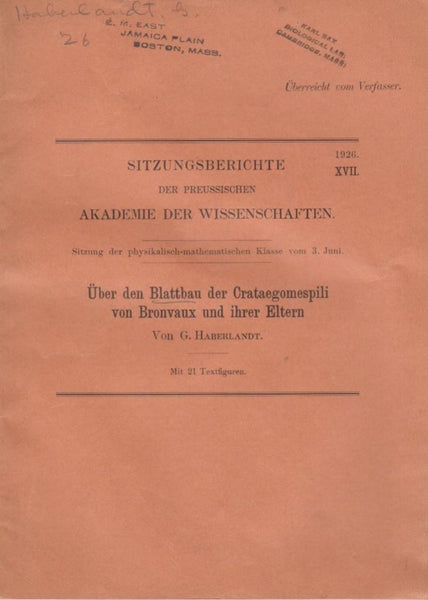 Uber den Blattbau der Crataegomespili von Bronvaux und ihrer Eltern
