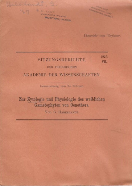 Zur Zytologie und Physiologie des weiblichen Gametophyten von Oenothera