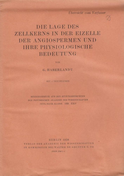 Die Lage des Zellkerns in der Eizelle der Angiospermen und Ihre Physiologische Bedeutung