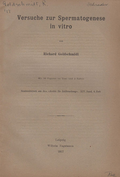 Versuche zur Spermatogenese in vitro