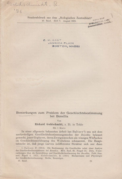 Bemerkungen zum Problem der Geschlechtsbestimmung bei Bonellia