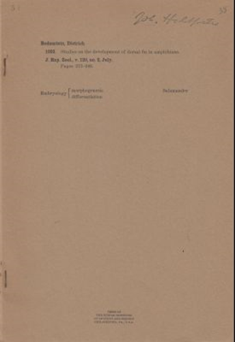 Studies on the Development of Dorsal Fin in Amphibians