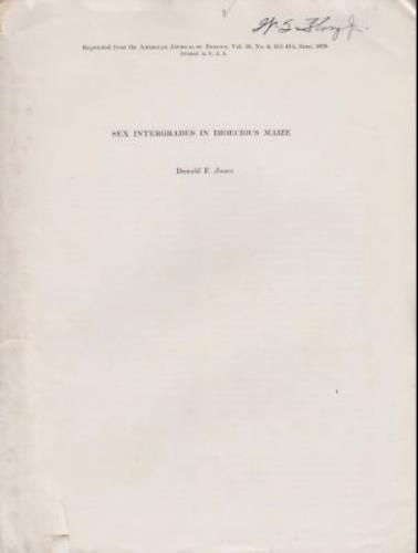 Sex Intergrades in Dioecious Maize