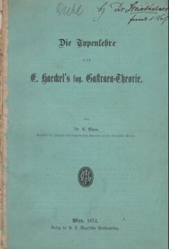 Die Typenlehre und E. Haeckel's sog. Gastraea-Theorie