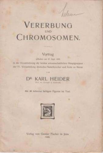 Vererbung und Chromosomen