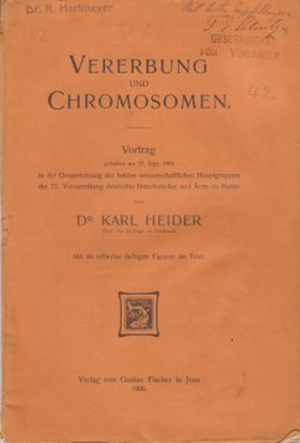 Vererbung und Chromosomen