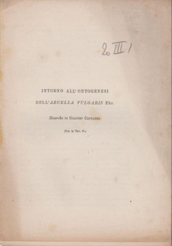 Intorno All'Ontogenesi dell'Arcella Vulgaris Ehr.