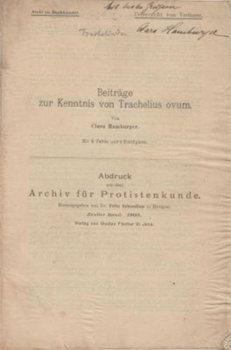 Beitrage zur Kenntnis von Trachelius ovum
