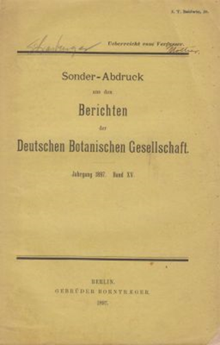 Ueber den zweiten Theilungsschritt in Pollenmutterzellen