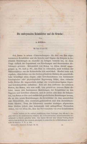 Die Embryonalen Keimblatter und die Gewebe